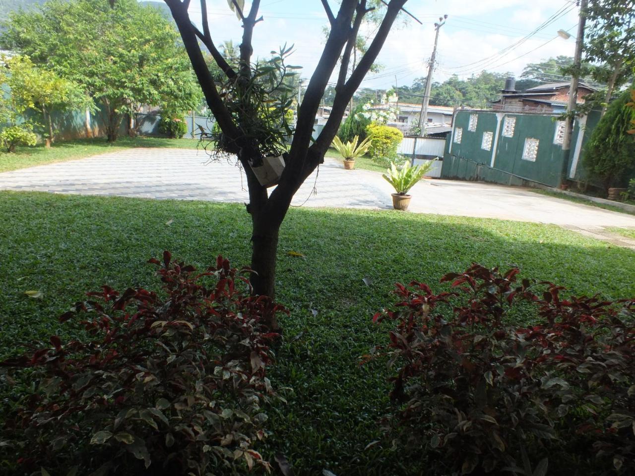 Hillsview Rest & Guest House Matale Exteriér fotografie