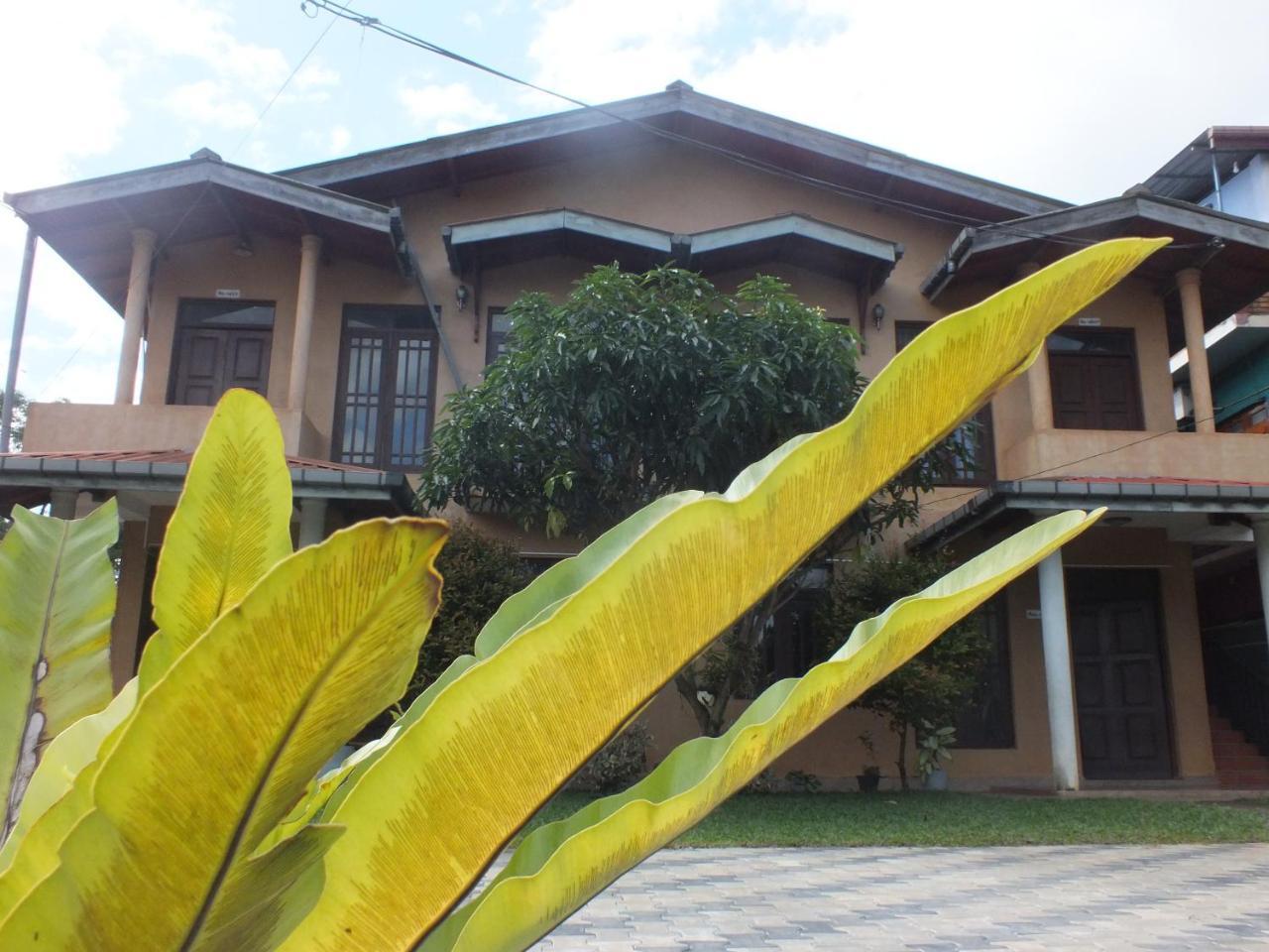 Hillsview Rest & Guest House Matale Exteriér fotografie